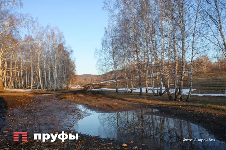 Новое дно Башкирии: даже леса республики в числе худших в России