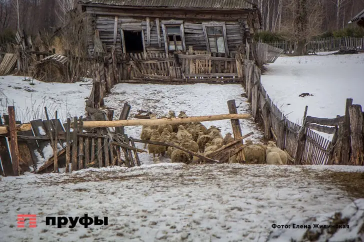 Не нужен городской комфорт: почему жители деревень живут как в советское время и не хотят ничего менять