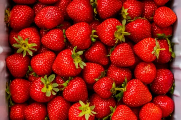 Ягоды как свежие: технология заморозки клубники без потери вкуса