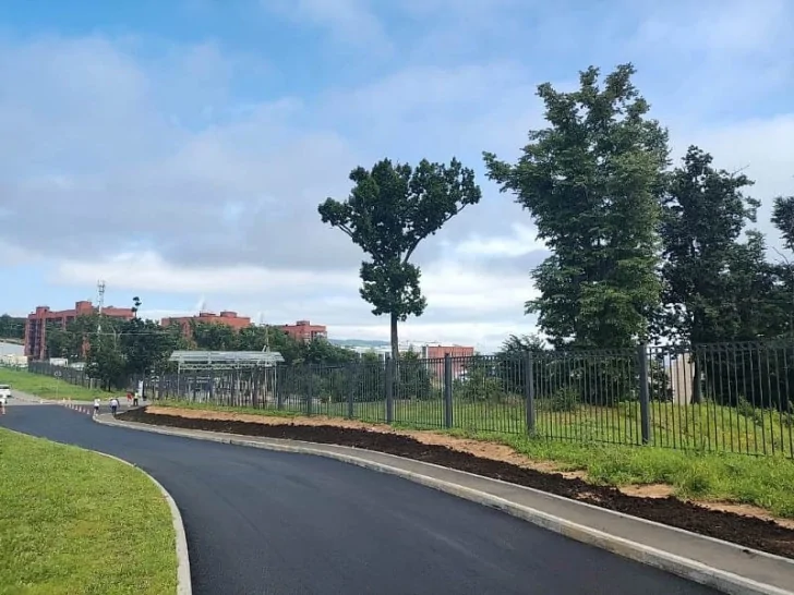 Владивосток и почти все Приморье остались без электричества