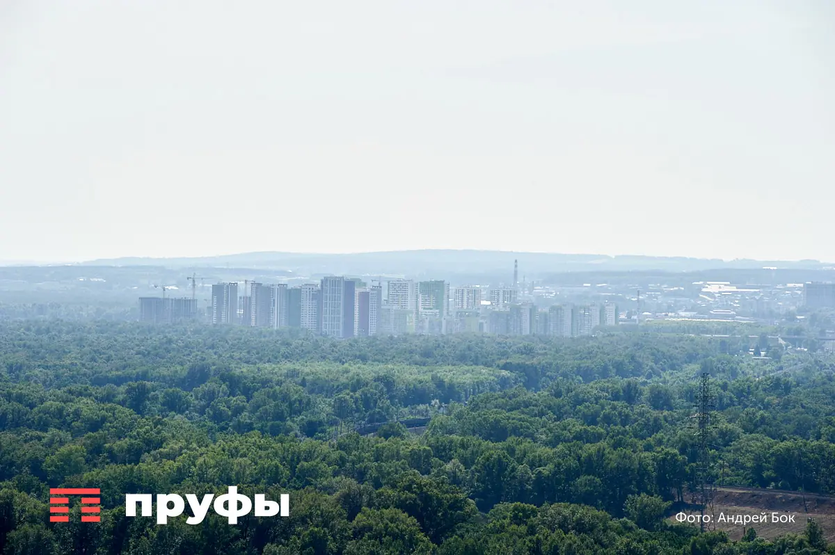Голая Уфа – на березы денег нет: история, как 4 года перед домом не садят деревья взамен срубленных 