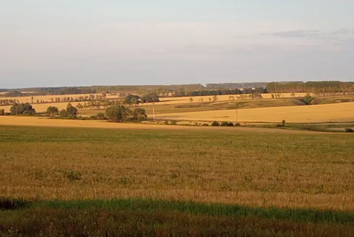 Стоимость сельхозпродукции Татарстана по итогам года превысит 400 млрд рублей