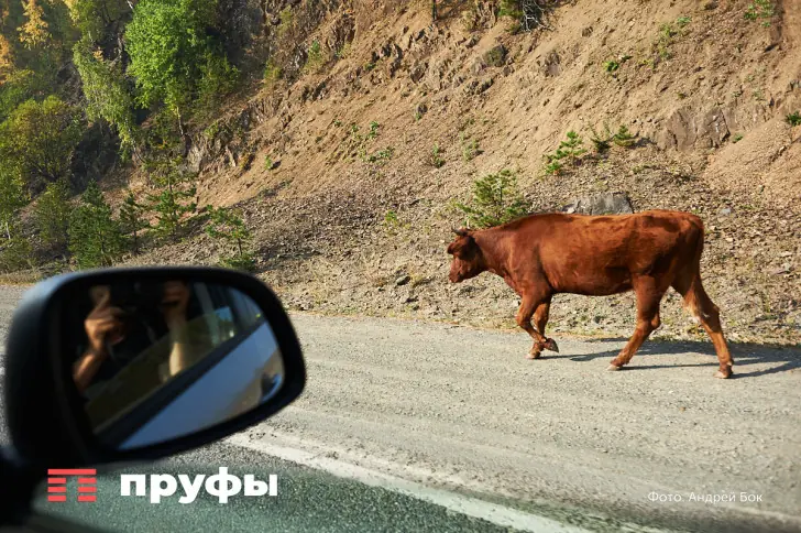 Как живется простым людям в глубинке Таджикистана