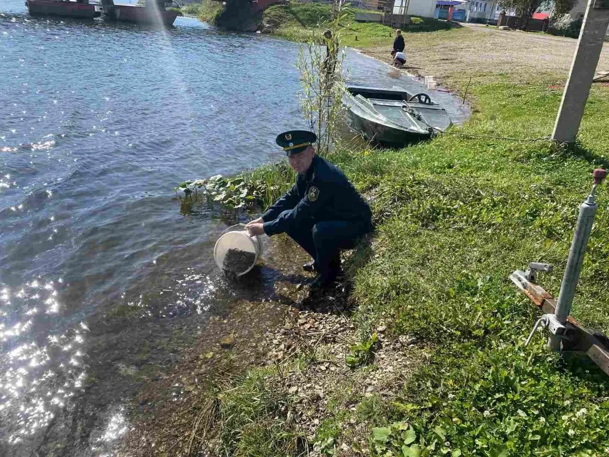 «Царских» рыб, занесенных в Красную Книгу, выпустили в Павловское водохранилище