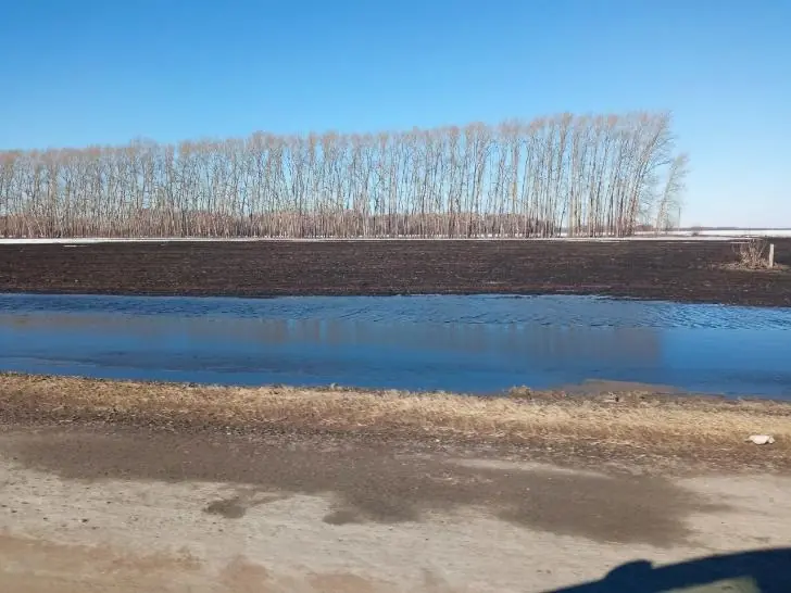 «Останемся без урожая?!»: в Башкирии затопило поля