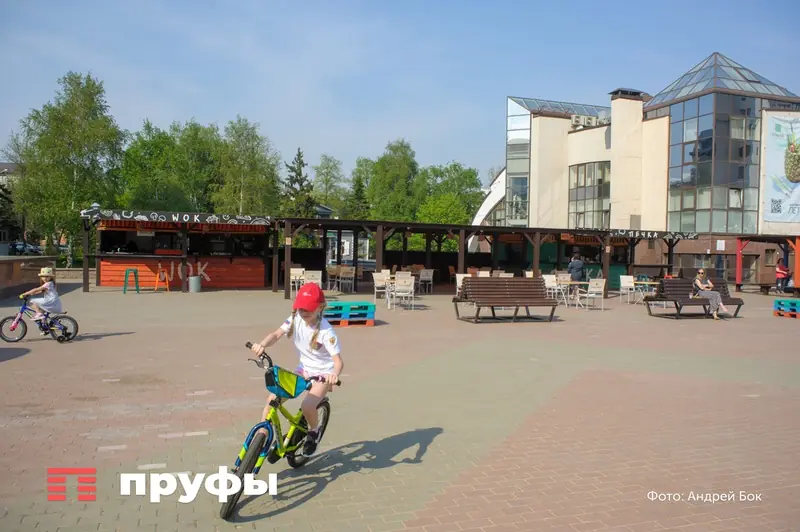 Реальная покупательская способность маткапитала снизилась почти на 40% – СМИ