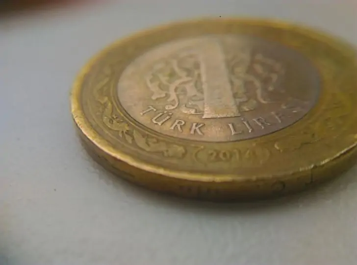 В Турции в обход санкций запустят совместную с Россией платежную систему Rebit Card