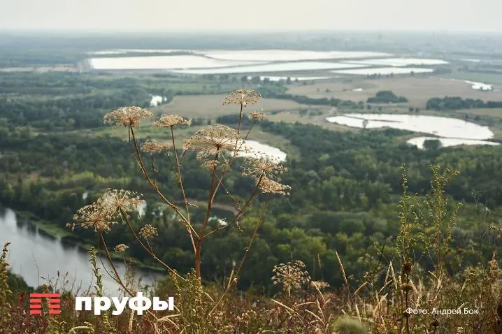 Атлантические циклоны накрывают Урал – какую погоду ожидают в Башкирии