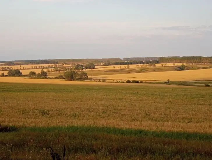 Фермеры тоже плачут. Грозит ли урожаю сои в Башкирии судьба брошенного в полях зерна