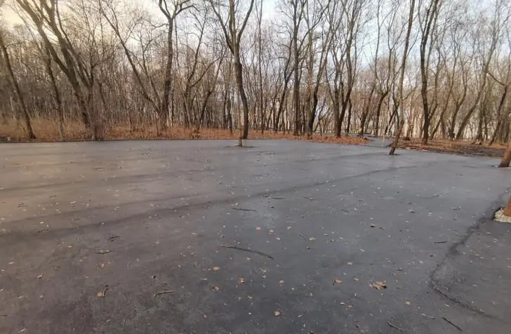 Прокуратуру возмутило, что в парке Уфы зарыли редкие деревья в асфальт