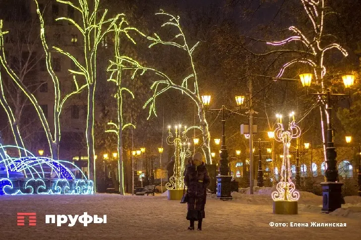 Где в Уфе можно купить живую елку: известны адреса