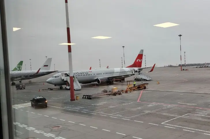 Отдельное место у окна для животного: как теперь работают правила 