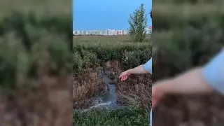 Жители Булгаково пожаловались на разлив канализации