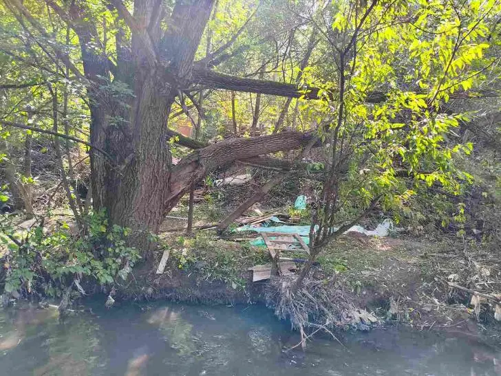 Берег реки Сутолока в Уфе превратился в свалку: жители бьют тревогу