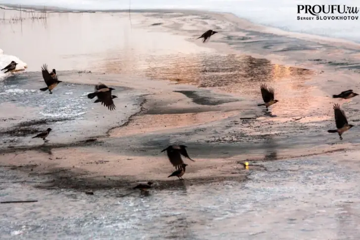 В Минздраве Башкирии объяснили рассылку писем о феноле