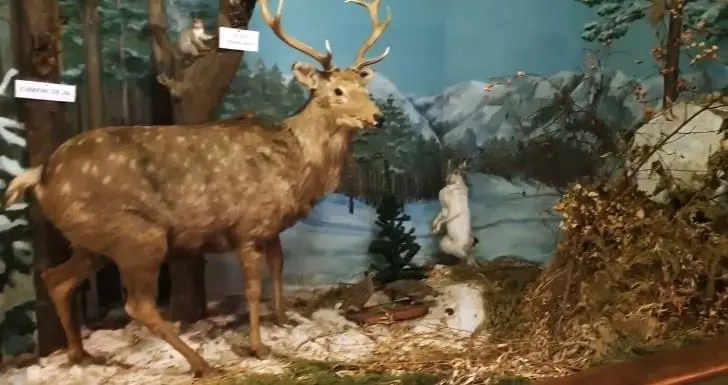 Прекрасное и рядом: 9 музеев Уфы, которые стоит посетить обязательно 