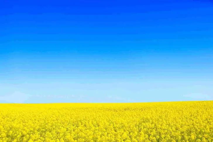 Башкирский товар захватил рынок Китая – поставки выросли рекордно 