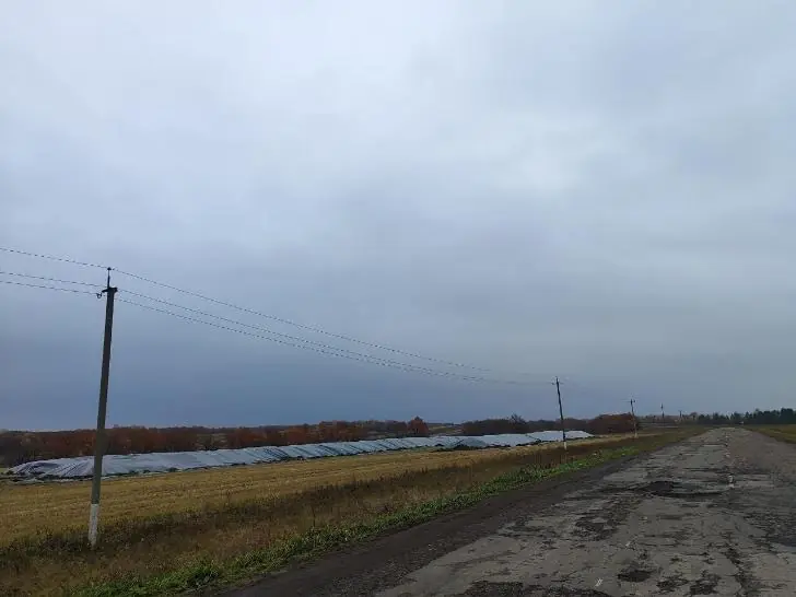  В Башкирии нашли еще одно поле с брошенным зерном