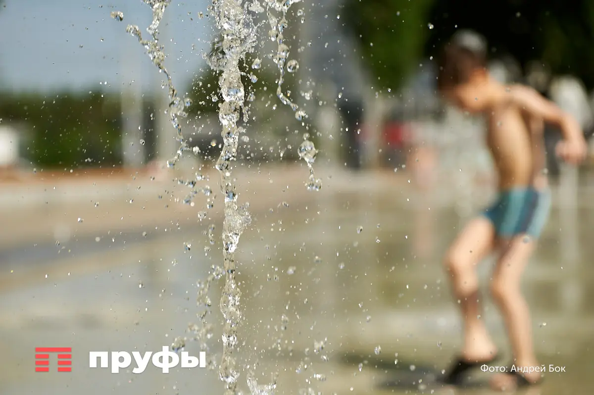 Мэрия Уфы объяснила, зачем вырубает деревья в городе