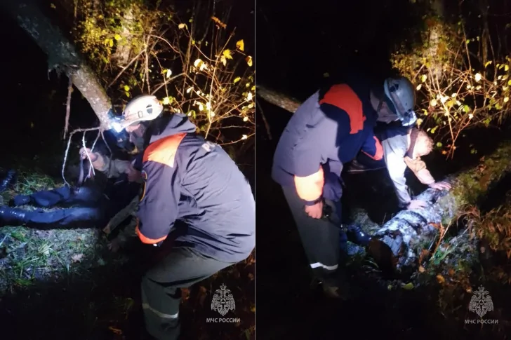 «Больше грибов – больше гробов»: мужчину из Башкирии поход в лес едва не привел к смерти