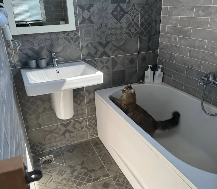 Плитка в ванной — прошлый век: теперь все выбирают новый тренд в отделке 