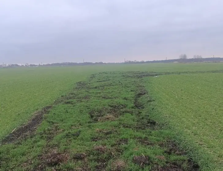 Ещё один след «Башнефти»: найден нефтеразлив на сельхозземлях в Башкирии 