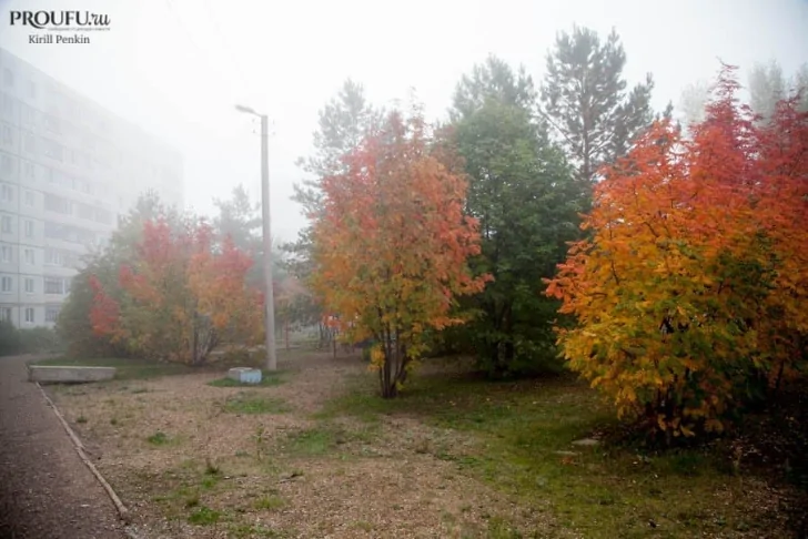 «Сильный ветер и гололед»: синоптики предупреждают об изменениях в погоде на выходных