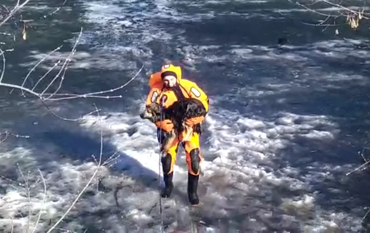 В Уфе спасатели помогли спастись провалившейся под лед собаке