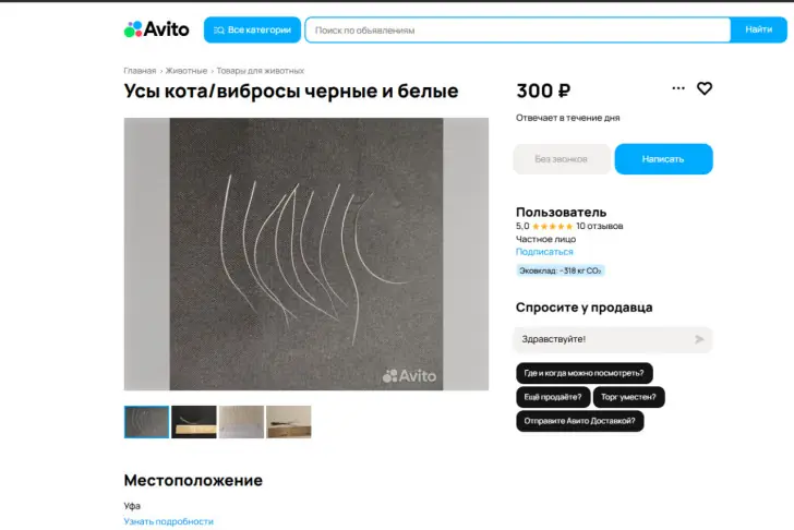 Уфимец выставил на продажу усы своих котов
