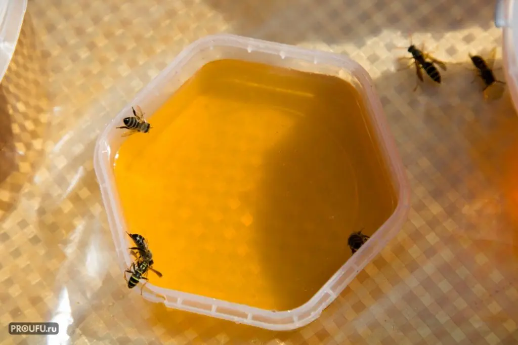 Тонны башкирского мёда вывезли за границу: в этой стране много малины, и говорят на 14 языках