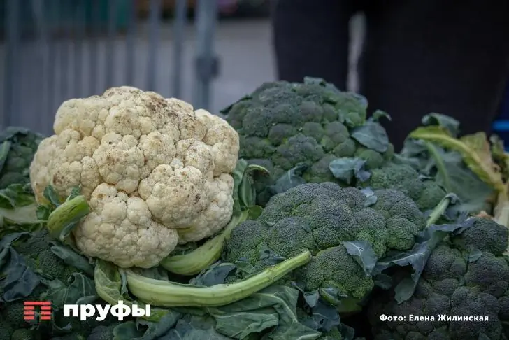 Еда с итальянским акцентом. Легкий рецепт запеканки с лососем и песто 