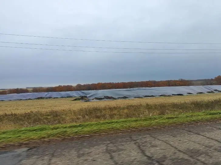 Почему фермеры Башкирии бросают зерно гнить на полях? Минсельхоз нашел объяснение