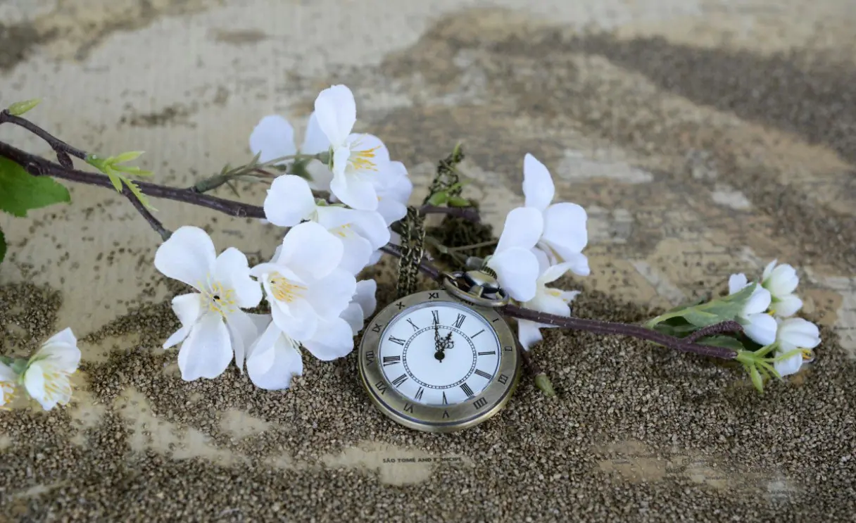 Какой будет погода весной и летом 2026: народные приметы с 14 по 20 марта