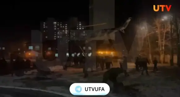 Родители подравшихся курсантов из Уфы пожаловались Путину на притеснение их детей