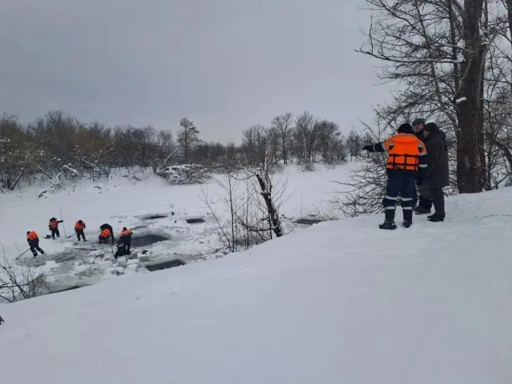 Более 1000 погибших овец подняли со дна озера в Башкирии