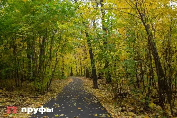 Синоптики сообщили о необычной погоде в Башкирии: что происходит в ноябре