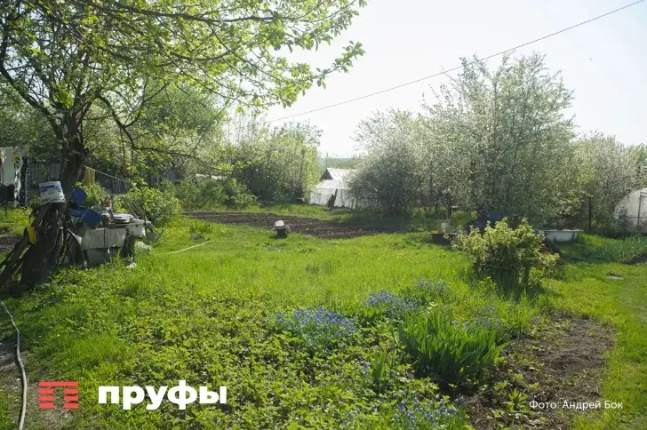 Когда высаживать рассаду, чтобы не погубить ее заморозками