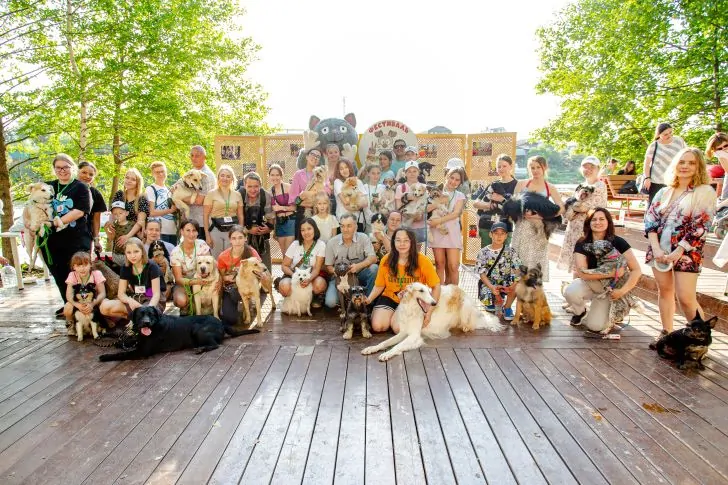 Собаководов Уфы приглашают на фестиваль «Яркий хвост»