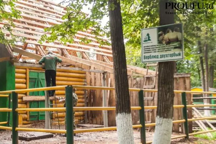Из-за карста в уфимском парке Лесоводов не будет зоопарка 