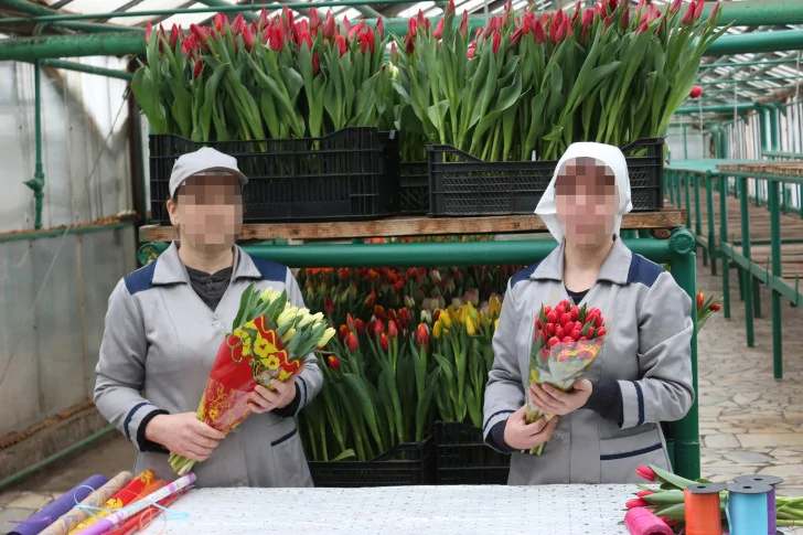 Жителям Башкирии к 8 Марта продадут цветы, выращенные заключенными в колонии