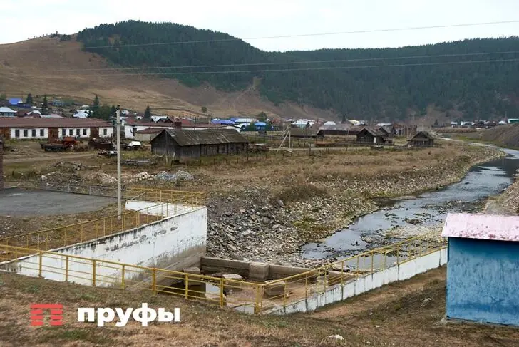 К деревням Башкирии подбираются голодные медведи и лисы