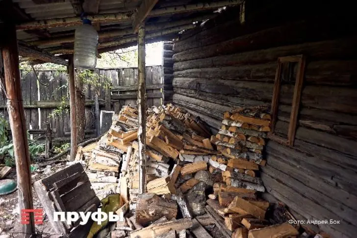 Умные люди давно перешли на это: что выбрать – топливные брикеты или дрова