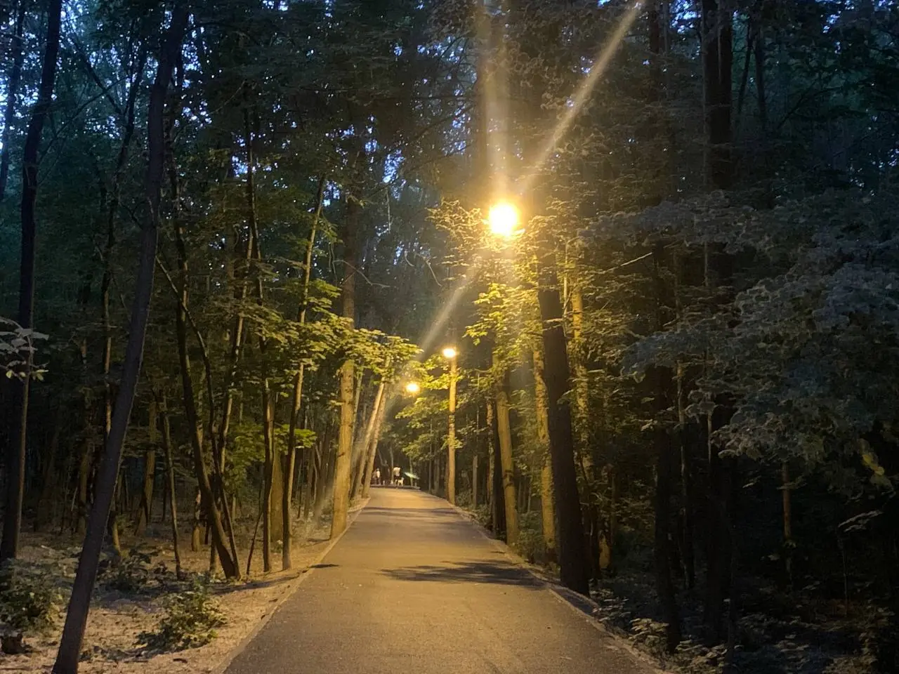 В Непейцевском дендропарке Уфы установили уличное освещение