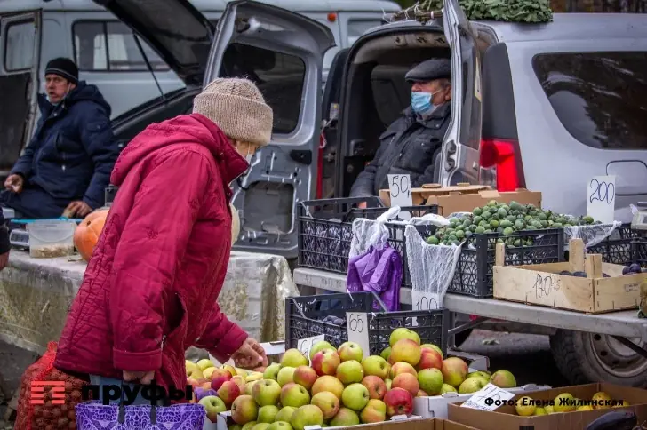 Цены на яблоки в России выросли на 6,21%: раскрыта главная причина