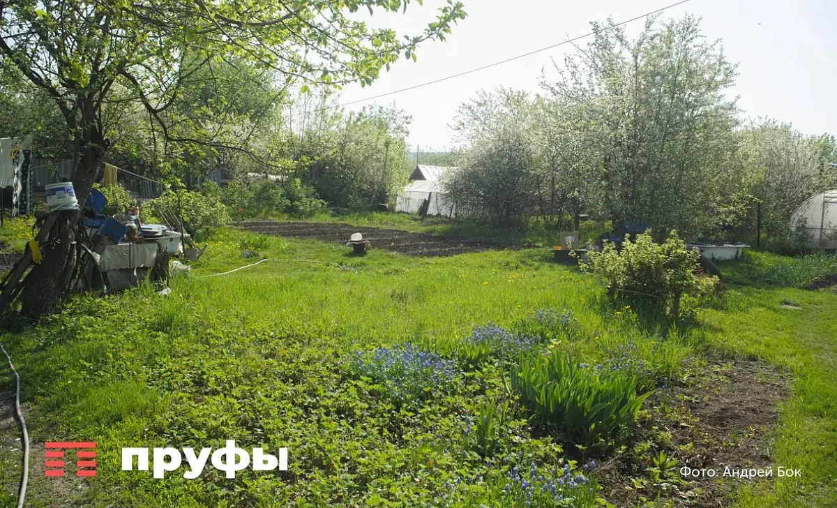 Как залатать прогнившую железную бочку на даче без сварки: способы дачников 