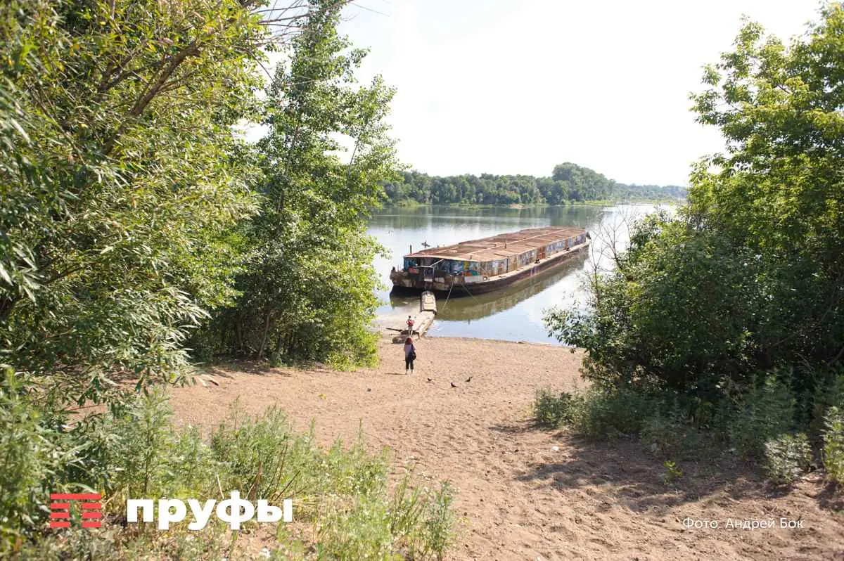 Ростовские ученые предупредили о возможном распространении холеры через морские суда