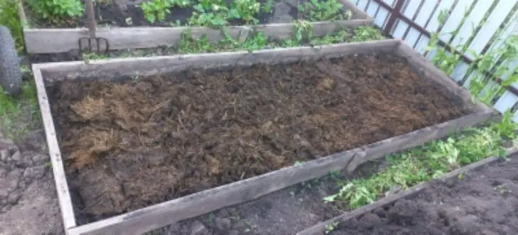 4 удобрения, которые осенью важнее всех – рассыпьте их прямо по снегу