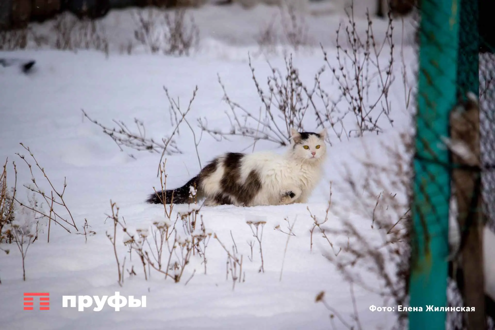 Лютые морозы накроют Башкирию