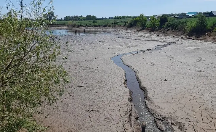 «Принимать меры поздно»: в Башкирии место для рыбалки стало болотом