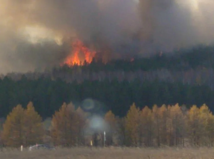 Предупреждать не будут: для граждан изменят штрафы за костры в лесной зоне